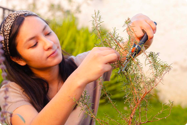 Woman gardening