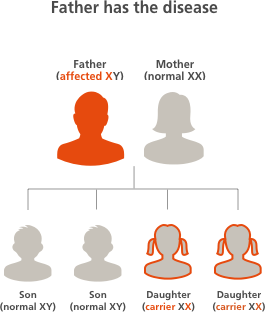 Changing Hemophilia illustration depicting the possibilities of children inheriting the hemophilia gene when the father has hemophilia, with a 100 percent chance that his daughters will be carriers 