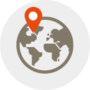 Globe with location pin icon
